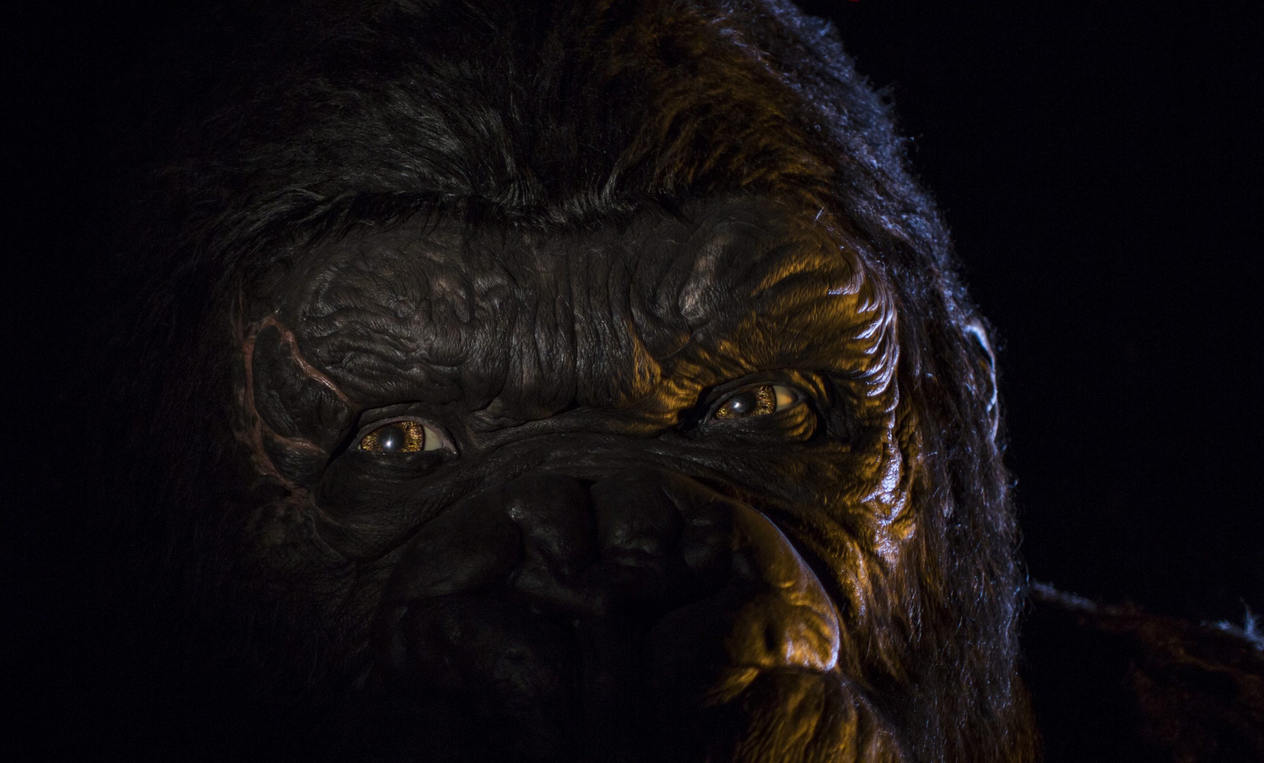 Review: Kong: A Ilha da Caveira