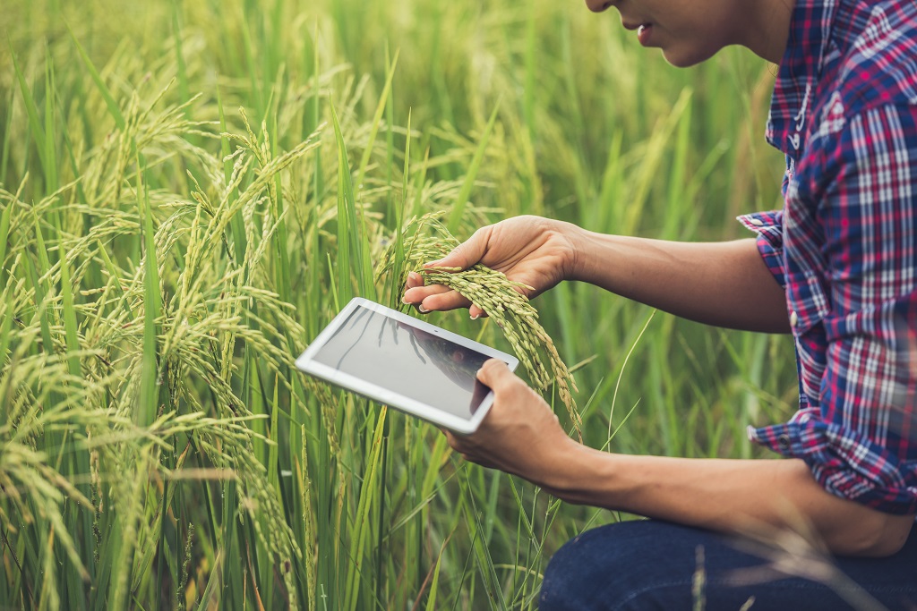  inova mais hackaton agricola 