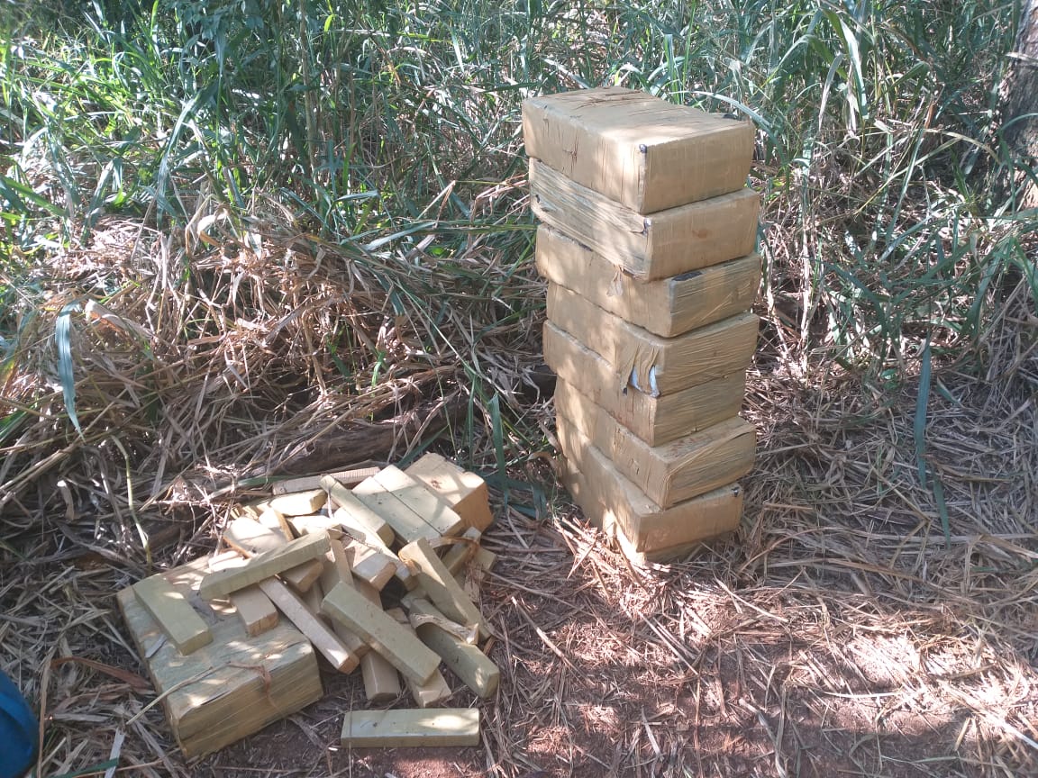  900 kg de maconha são apreendidos 