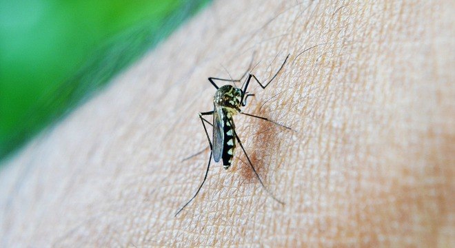  dengue-toledo-situacao-de-emergencia 