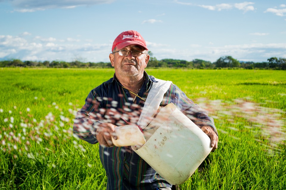 agricultura no Brasil