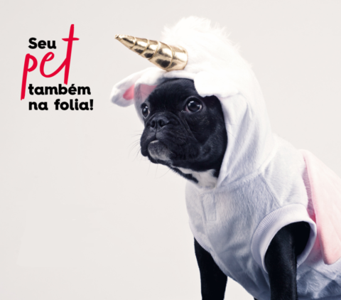  CarnavAU pet acontece neste sábado (15) em shopping de Curitiba 