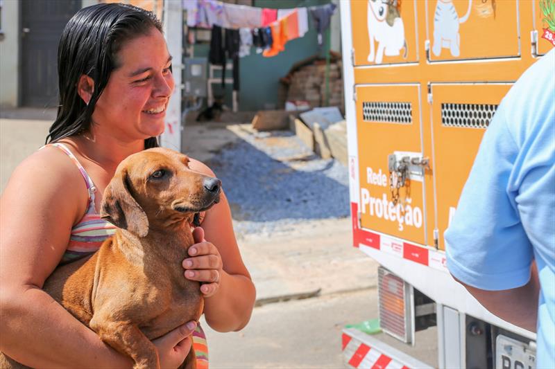  castração cães gatos Curitiba 