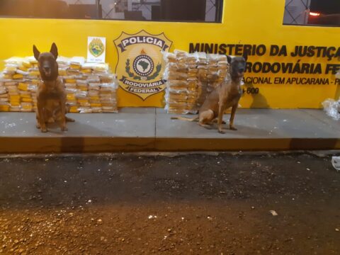 Dogs da PM localizam drogas 