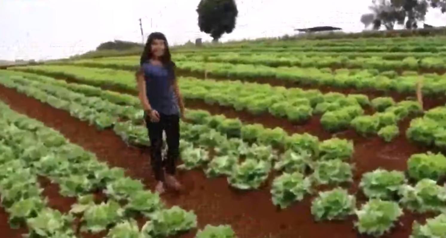  Eduarda Shigematsu aparece sorrindo na horta da avó (FOTO: REPRODUÇÃO/BLOG DO FARINA DE ROLÂNDIA) 