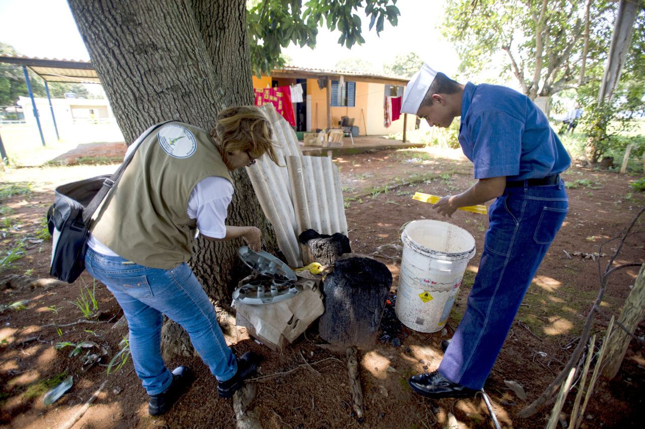  epidemia dengue parana 