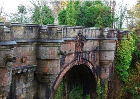  600 cães pulam de ponte na Escócia. (Foto: reprodução Topyaps) 