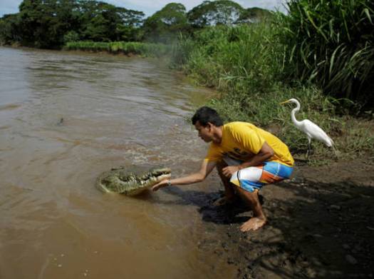 homem e crocodilo