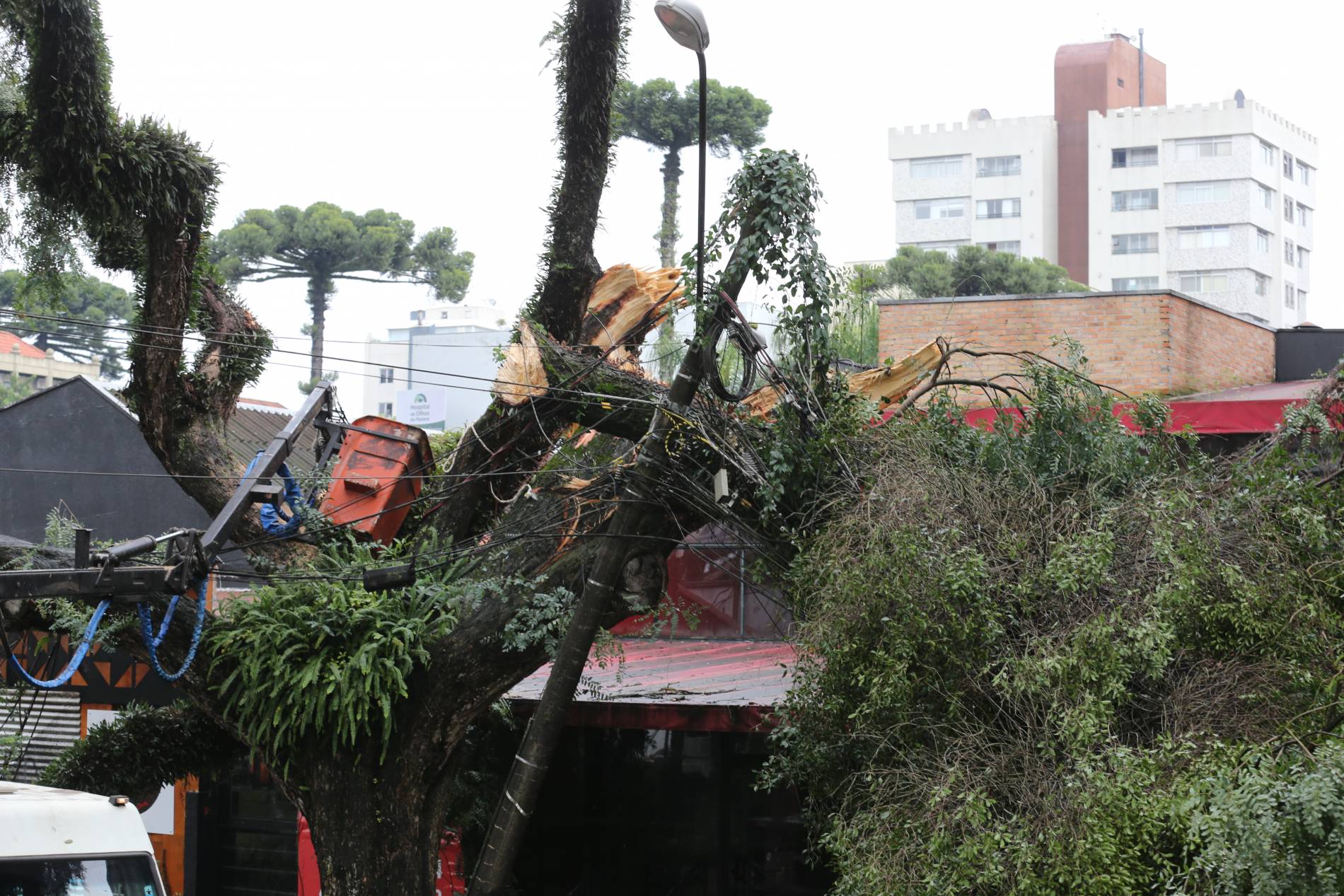  Chuva no Paraná: mais de 28 mil pessoas já foram atingidas. (Foto: AEN) 