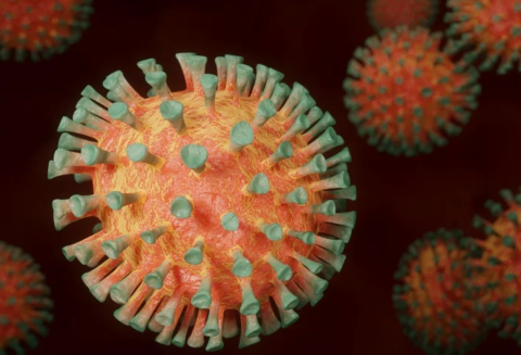  londrina-2-mortes-coronavirus 