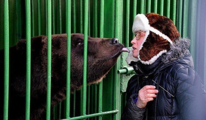  Mulher tenta beijar urso 