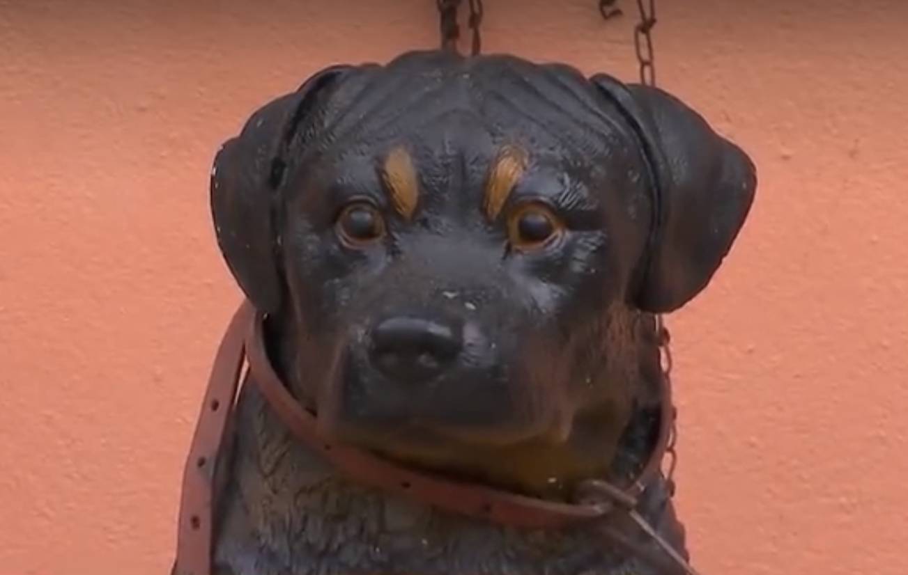  Polícia recebe denúncia de maus-tratos e se depara com cachorro de plástico. (Foto: reprodução Record TV) 