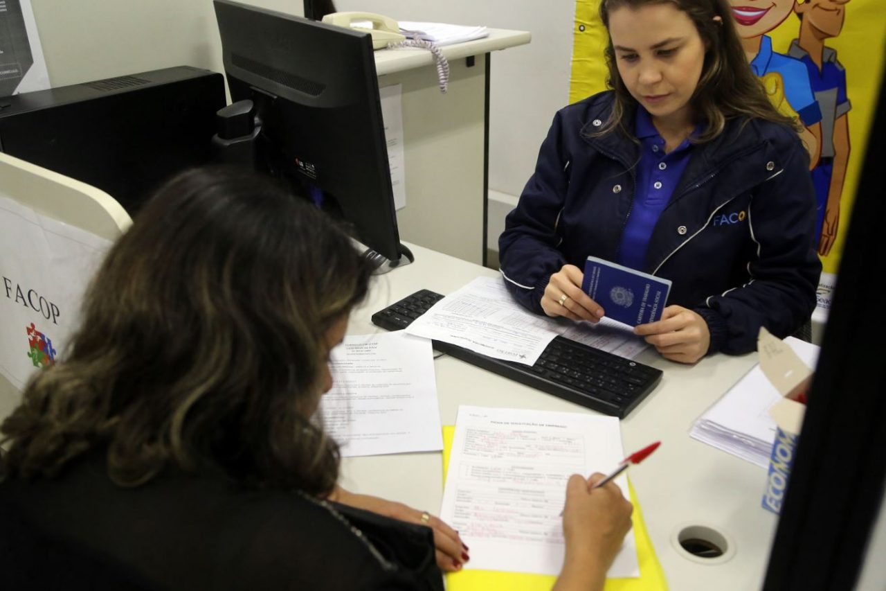  Paranaenses empregados em 2019 