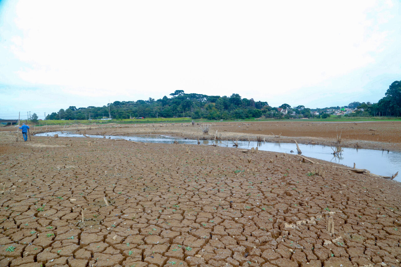  safra de inverno Paraná 