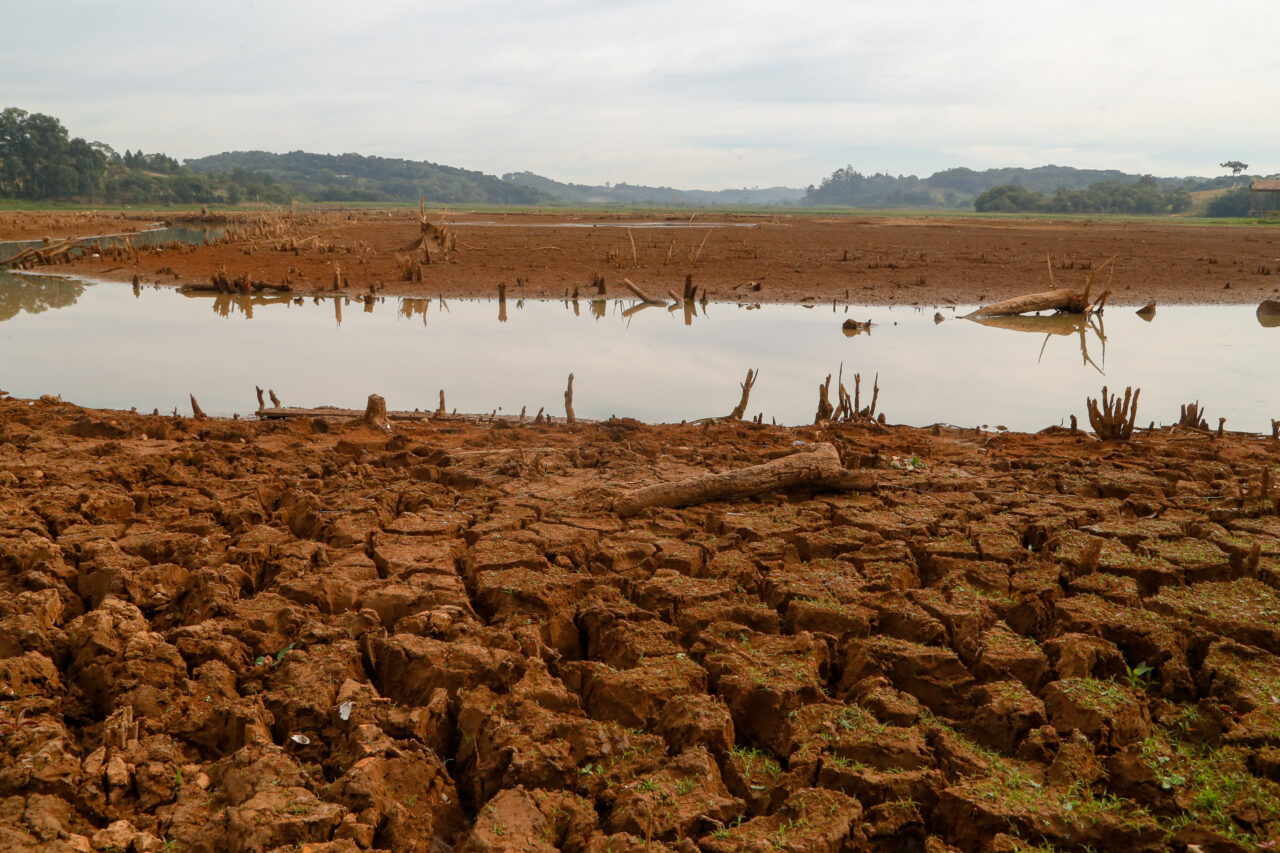 safra inverno Paraná