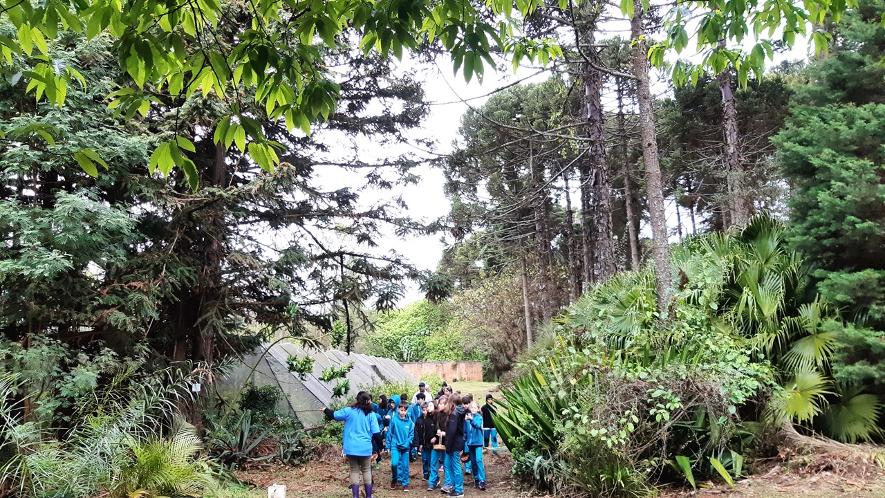 atividades no parque das amoras