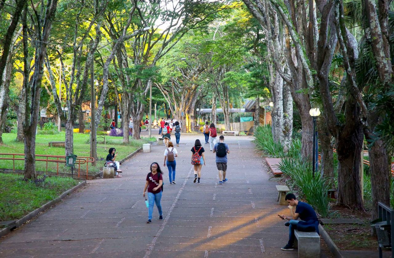  Universidades melhoraram seus desempenhos em todos os indicadores 