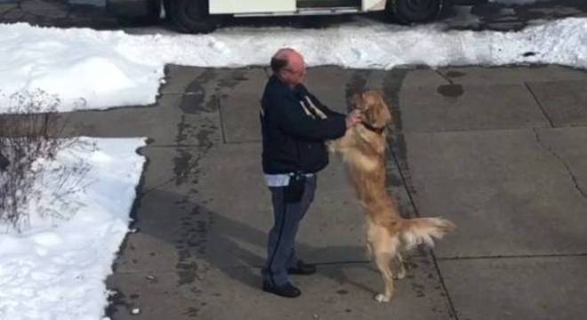  vídeo cachorro espera abraço carteiro 