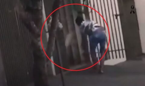  video homem agride cachorro 