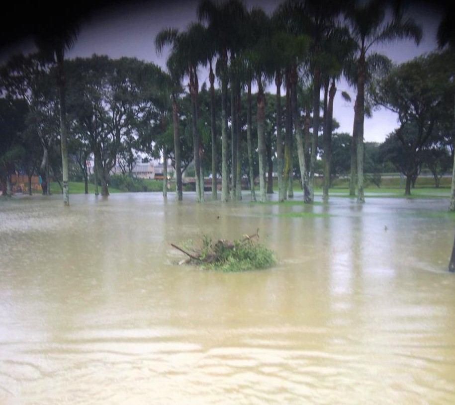 Gramado do parque Barigui fica debaixo de água (FOTO: COLABORAÇÃO/ Grupo Cicalerta24hr)