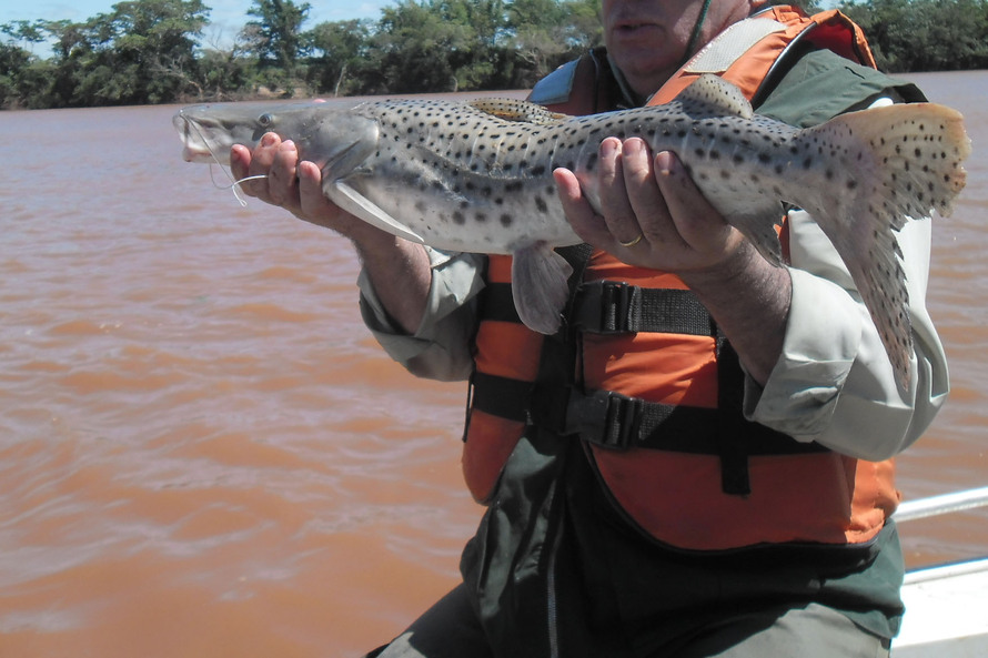  pesca autorizada parana 