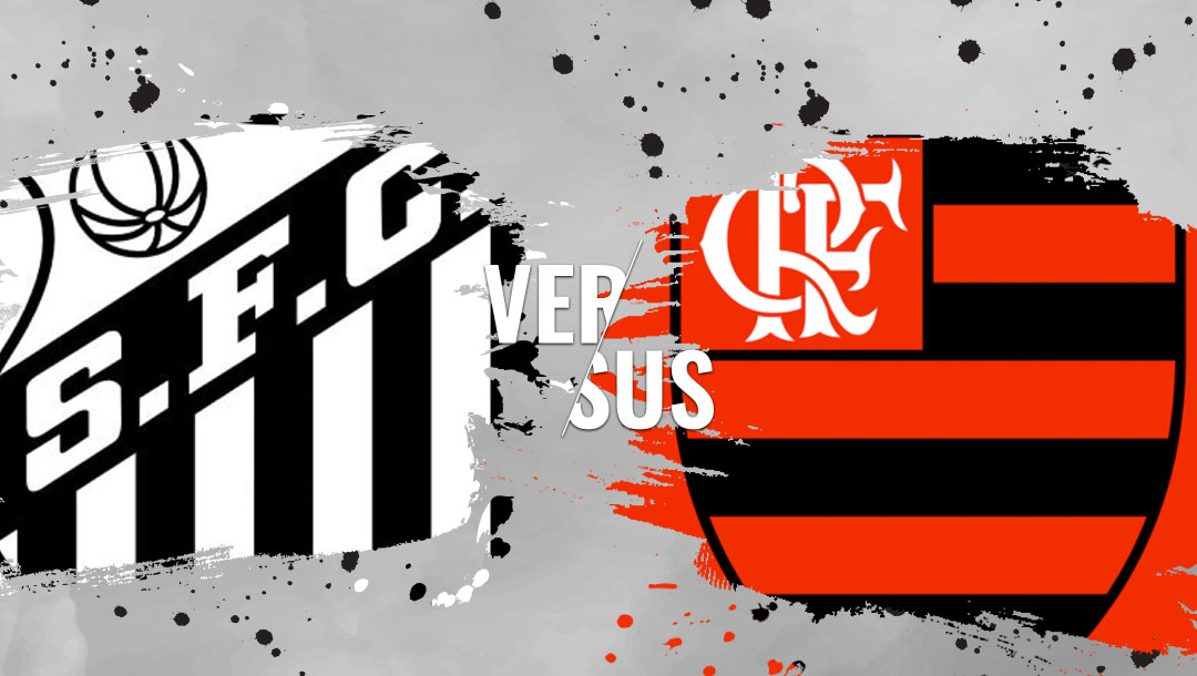 Flamengo x Santos AO VIVO  Campeonato Brasileiro 