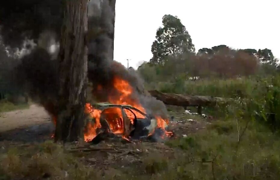 carro incendiado zoo de curitiba