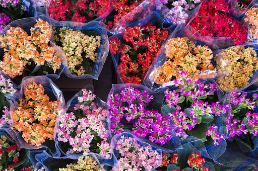 mercado das flores
