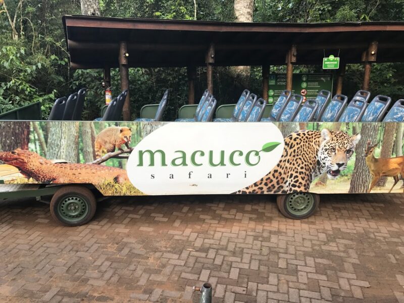 macuco safari