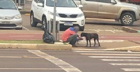  morador rua divide comida cachorro 