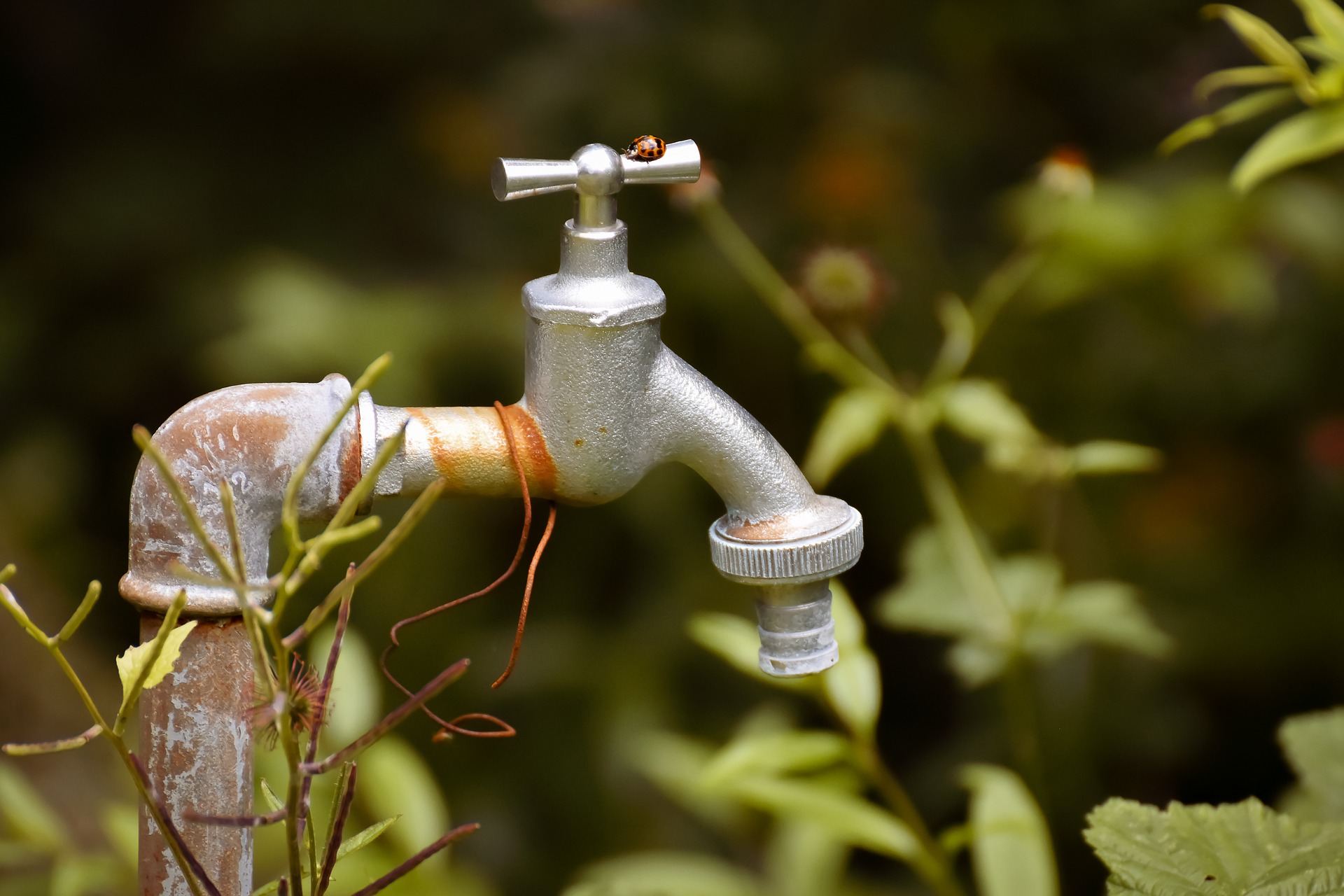  bairros de cascavel sem agua 