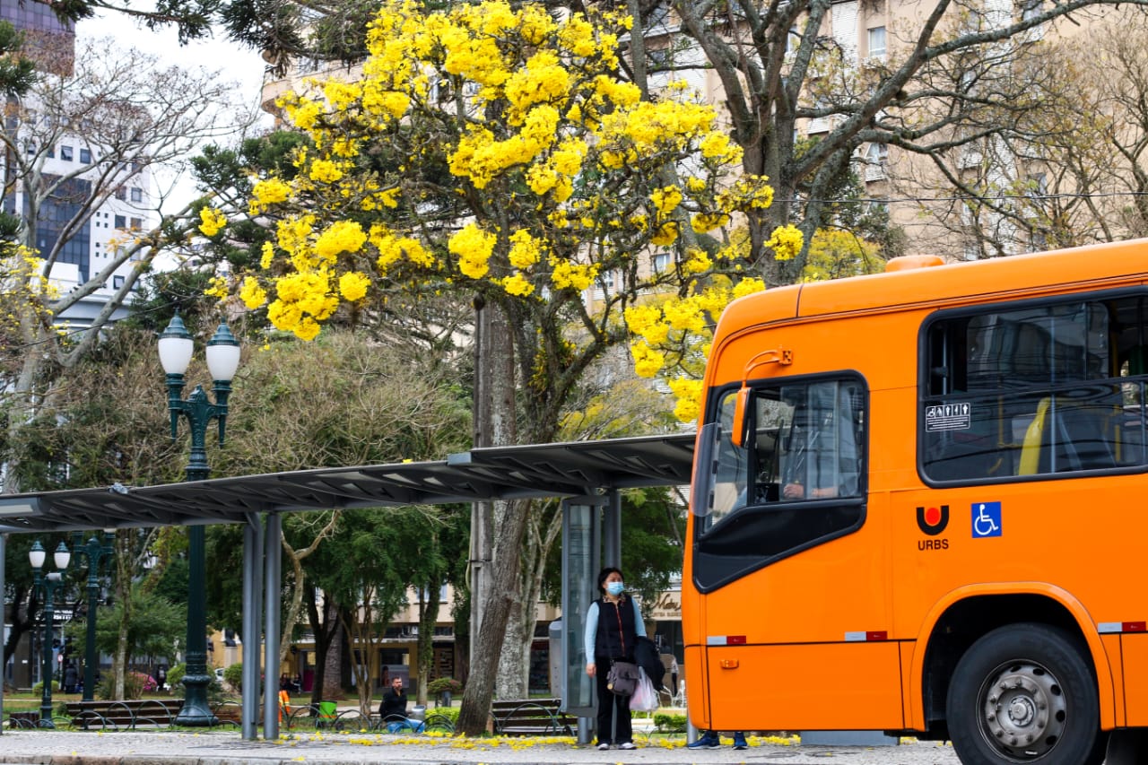  curitiba-bandeira-laranja 