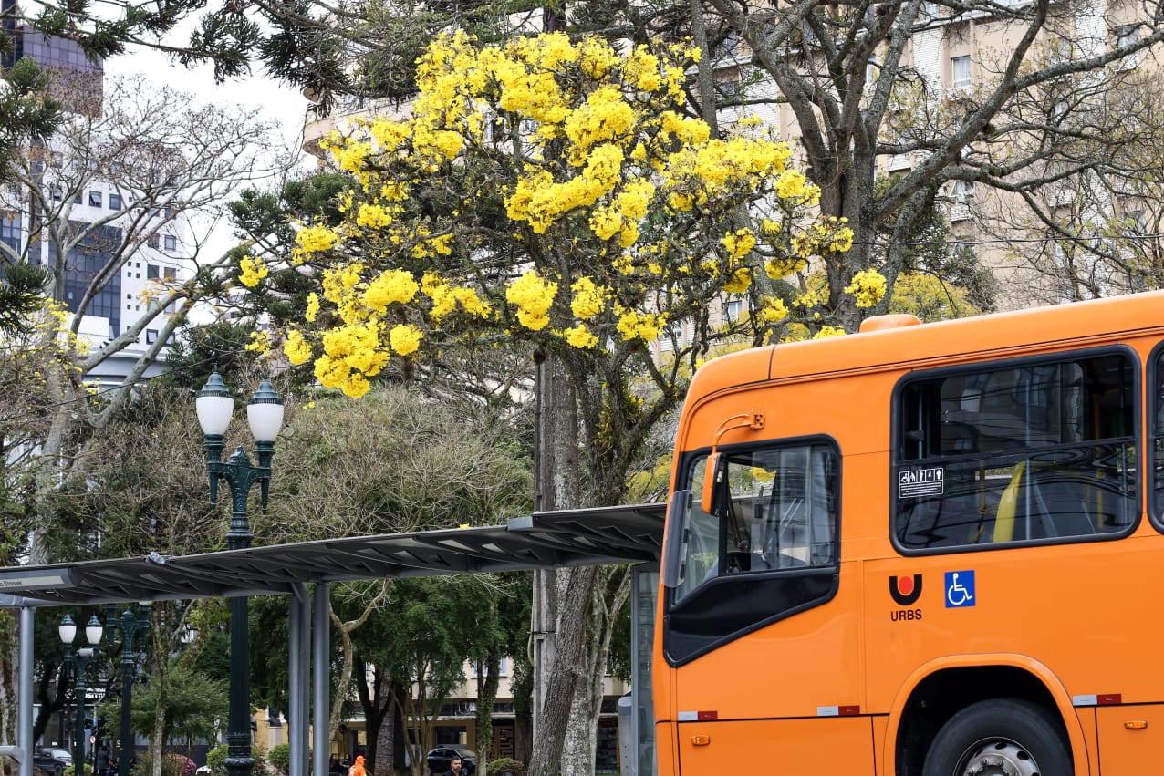  recorde calor curitiba 