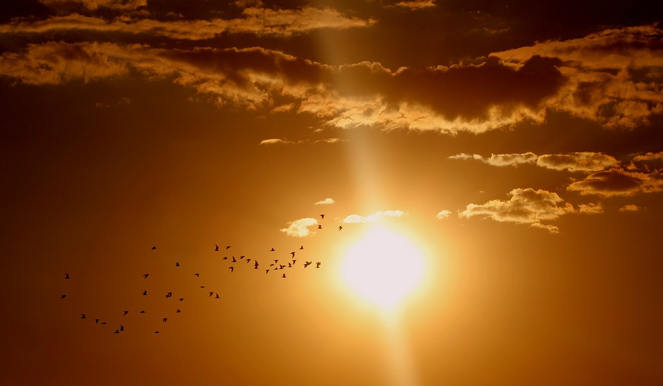  Recorde de calor no Brasil 