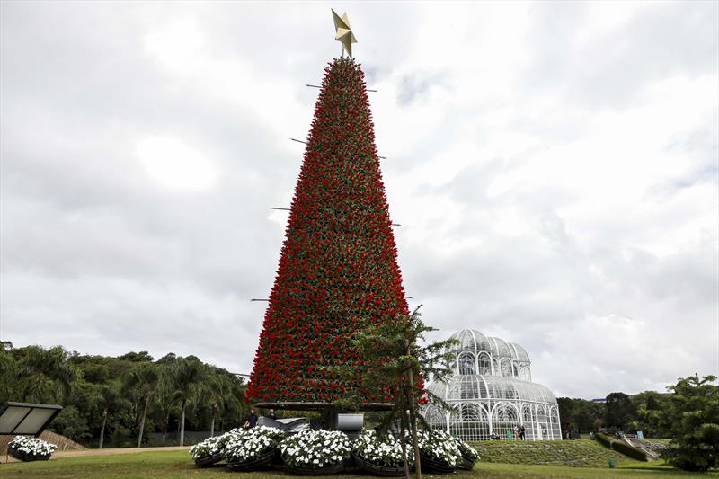  Natal de Curitiba 