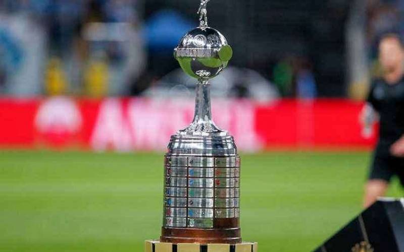 Libertadores Trophy  Taça libertadores da américa, Taça da copa, Copa  libertadores da américa