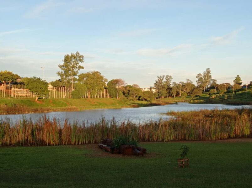 lago zona norte londrina