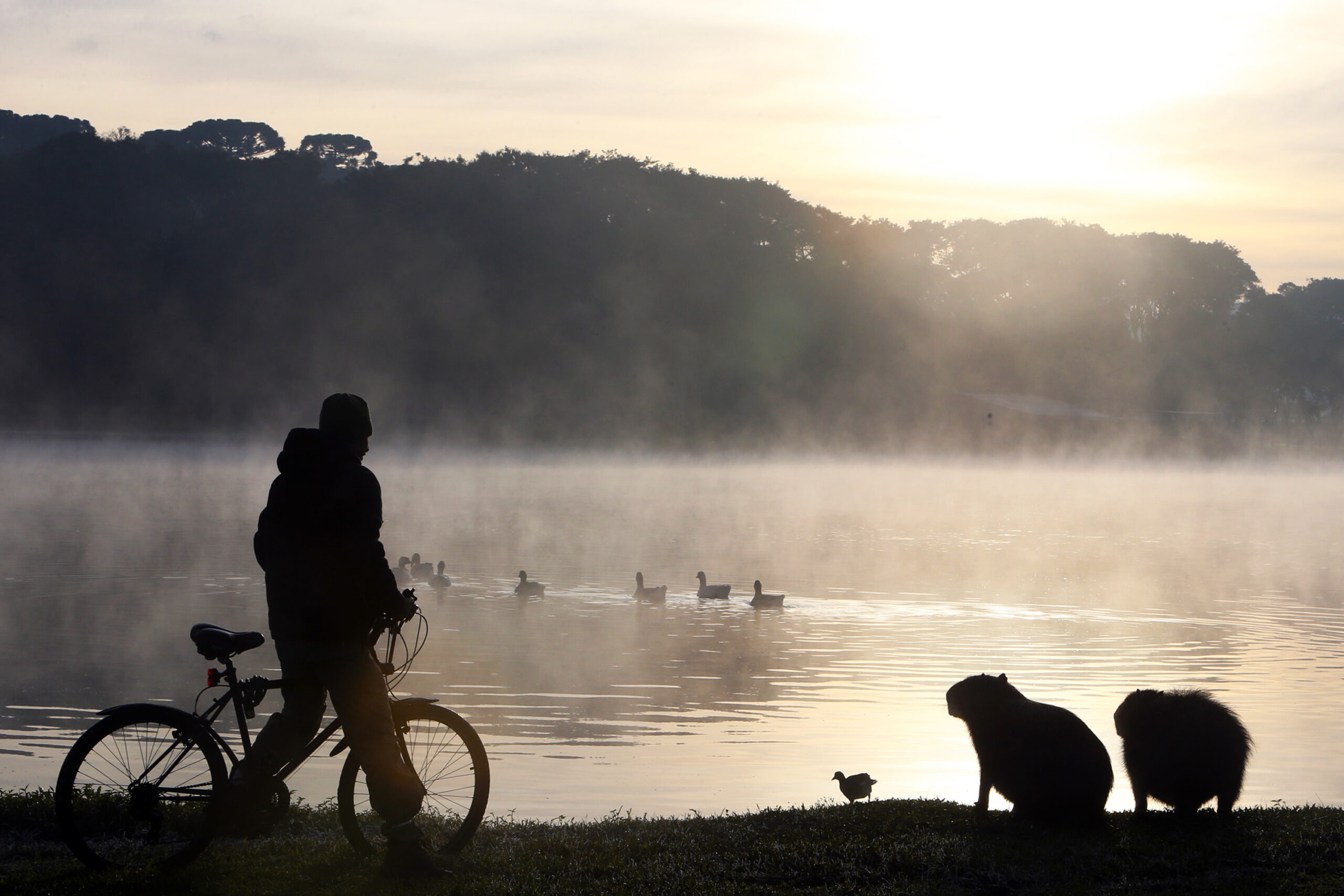  frio paraná previsão 