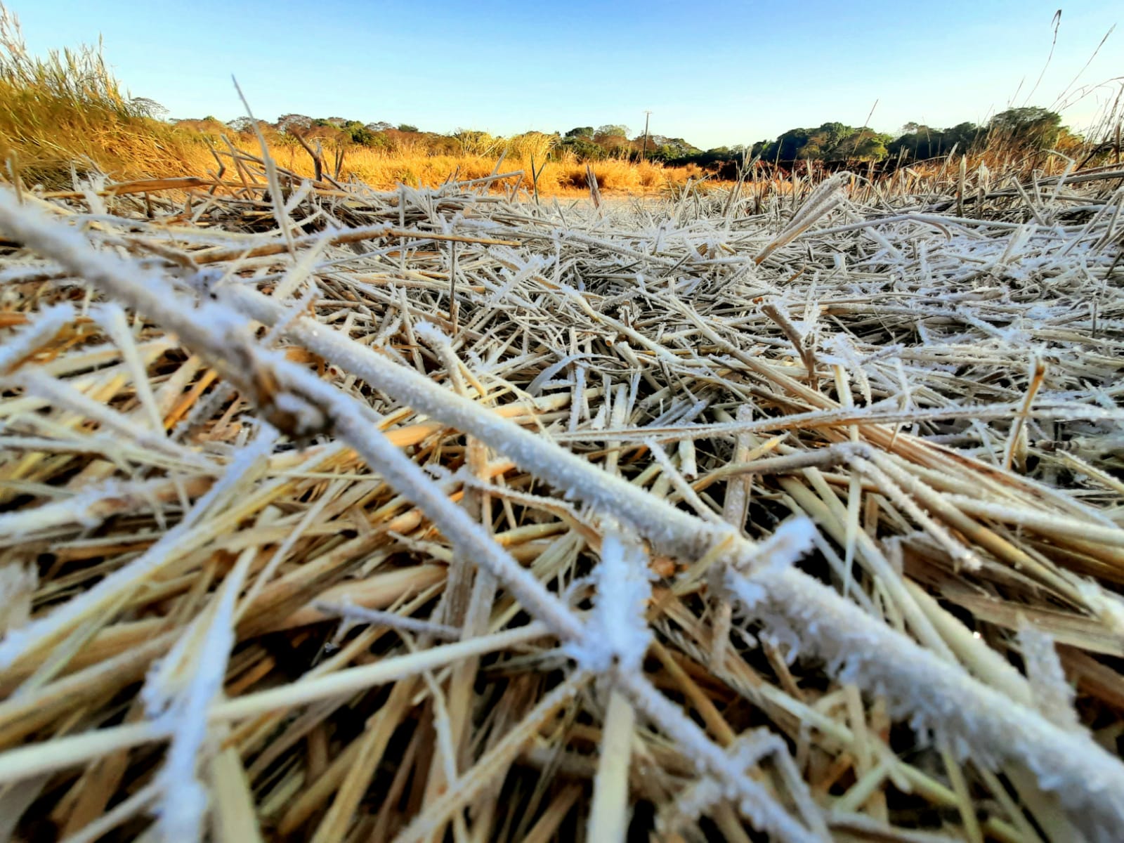  neve no parana 