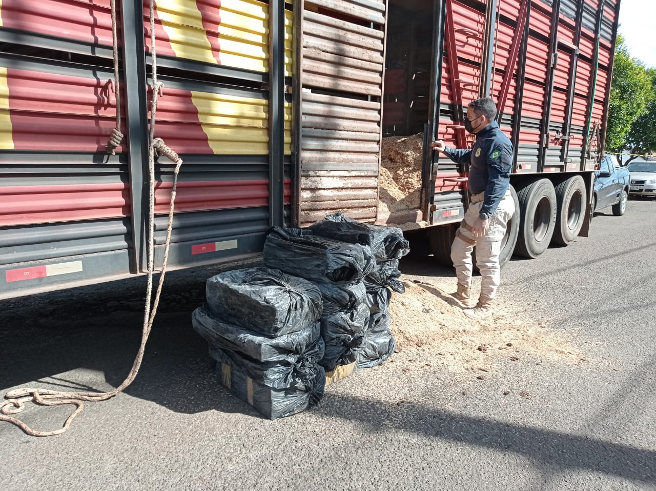  policia vendo carga dento de caminhão, com as drogas ao lado 