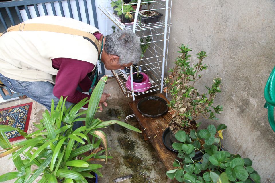  Agente de endemias agachado observa pratinho de planta com água em quintal 