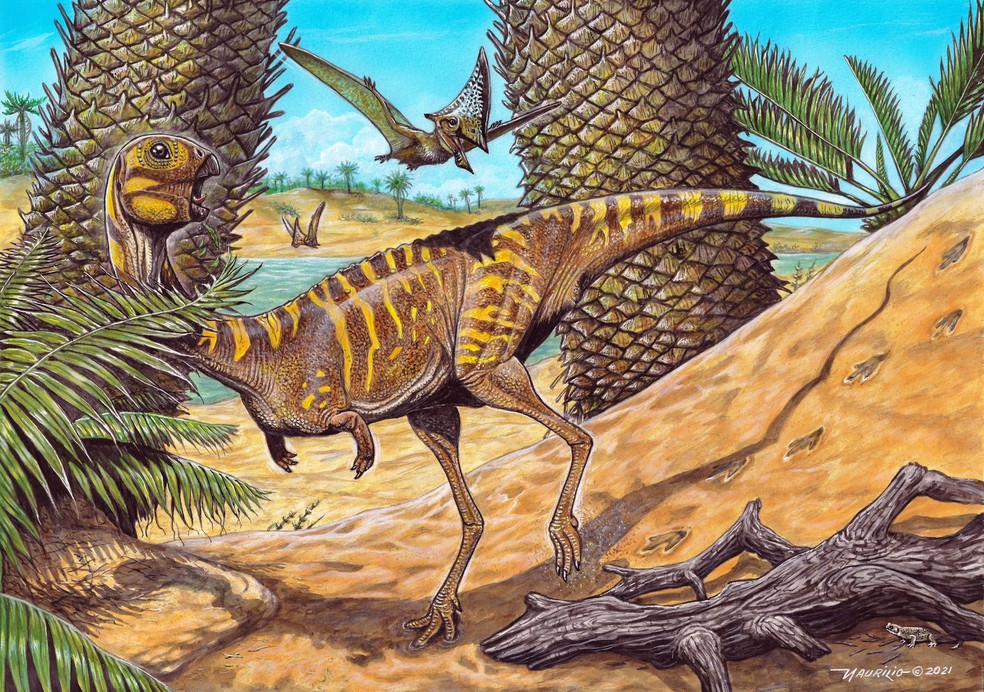  Desenho de como teria sido o dinossauro em seu habitat natural, bípede, com pele amarela e marrom, cauda longa, braços bem curtos, pernas traseiras longas, cabeça pequena e bico 