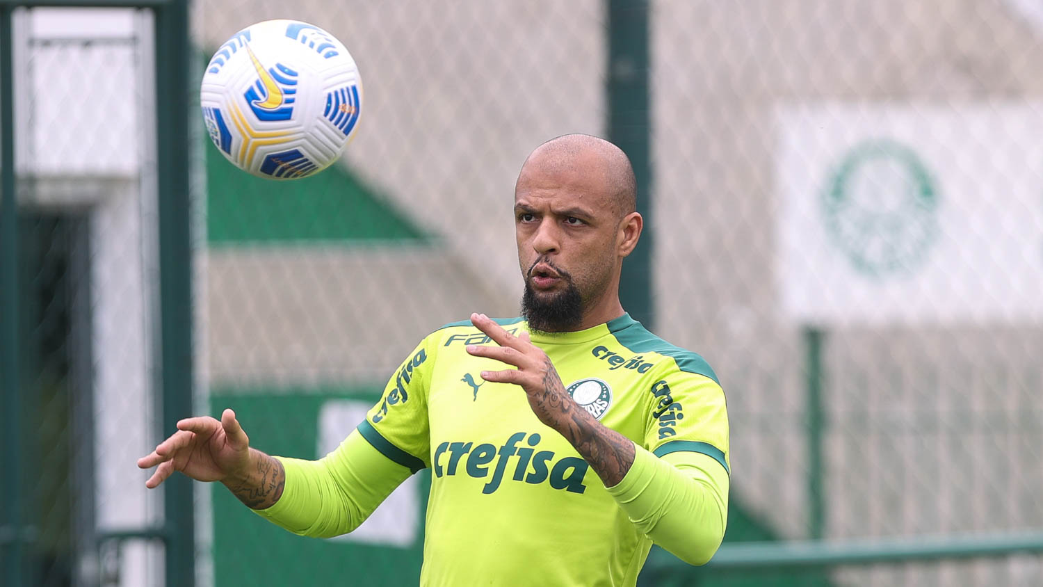  Felipe Melo 