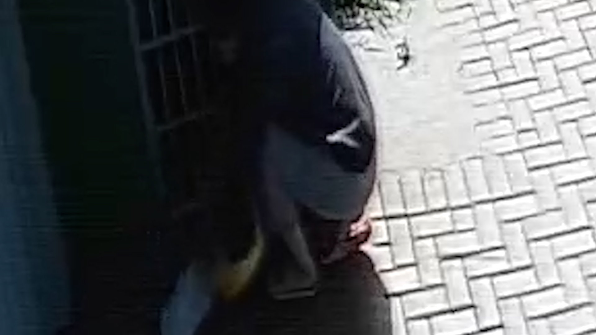  Imagem de câmera de segurança mostrando mulher abaixada na calçada, enchendo sacolinha de supermercado com ração 