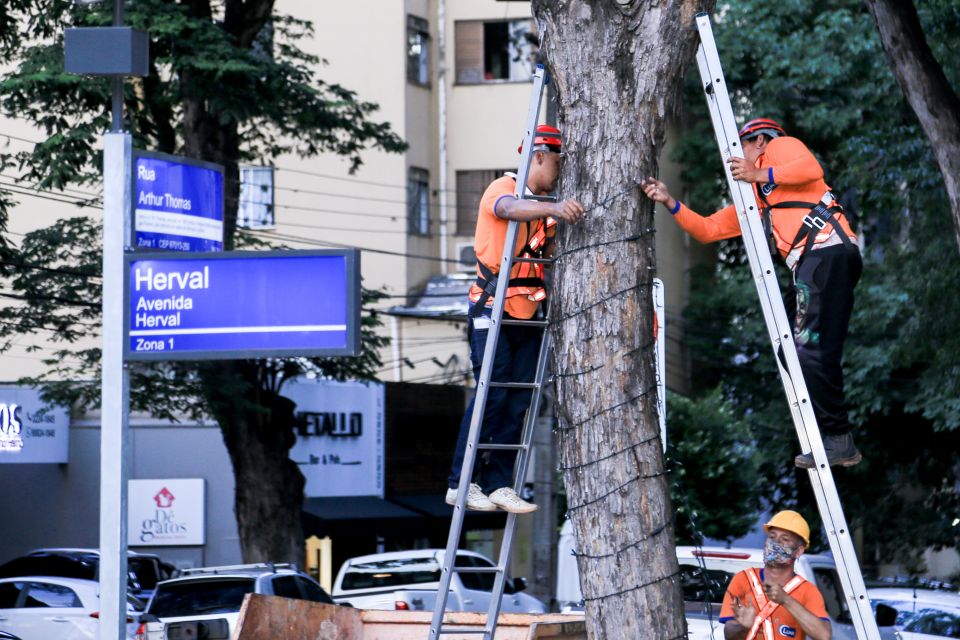  Técnicos da Prefeitura de Maringá instalam luzes de natal em árvore da cidade 