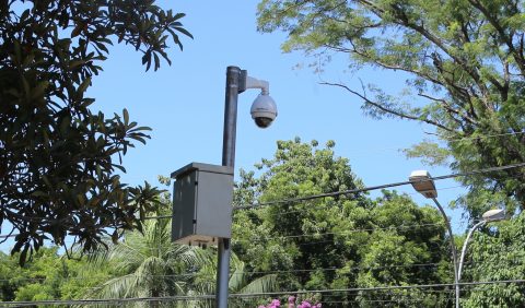  câmera de monitoramento em poste, entre árvores, em uma rua de Maringá 