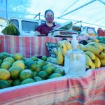 barraca de feirante de frutas