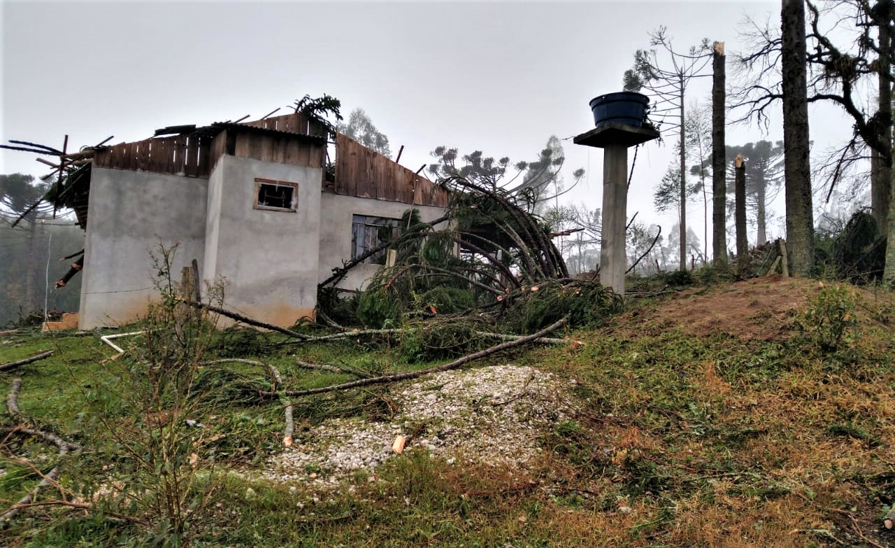  estragos-chuva-lapa (1) 