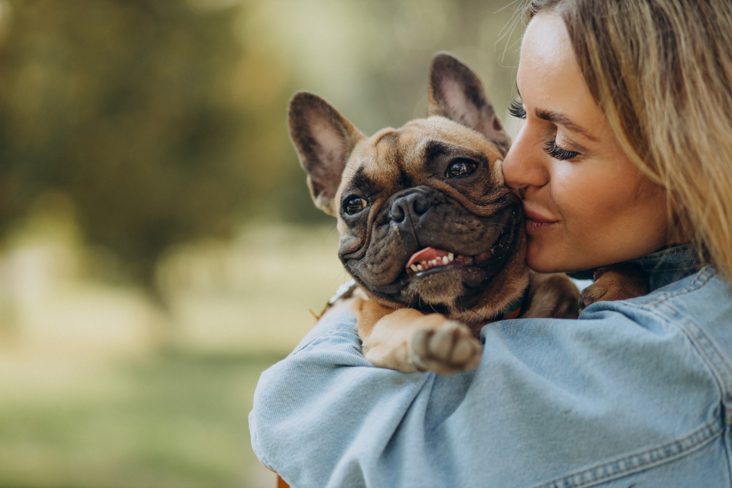  Saiba porque a castração é tão importante para o seu animal 