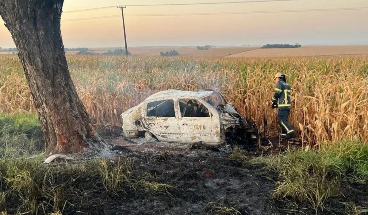  Imagem de acidente na PR-317 com vítima carbonizada, após carro pegar fogo 